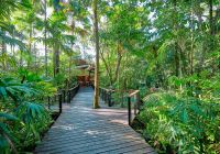 Silky oaks lodge australia the daintree lodge reception