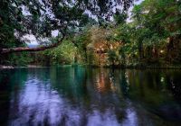 Silky oaks lodge australia the daintree silky oaks lodge
