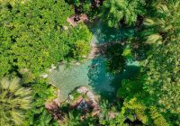 Silky oaks lodge australia the daintree swimming pool
