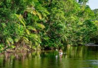 Ta daintree rainforest australia queensland lago