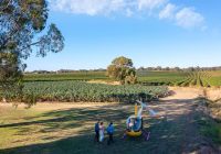 Tourism australia south australia barossa helicopters casal