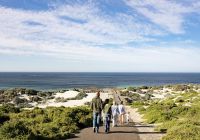 Tourism australia south australia kangaroo island seal bay