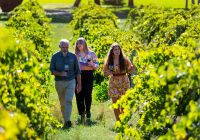 Tourism australia south australia langmeil winery vinicola