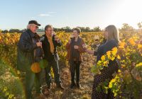 Tourism australia south australia pennington bay degustacao