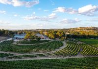 Tourism australia south australia the yalumba wine room vista aerea