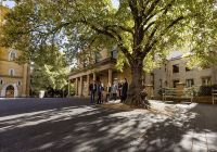 Tourism australia tour caminhando hobart