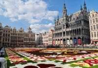 Belgica bruxelas grand place