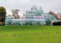 Visit brussels estufas de laeken olivier polet