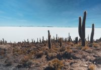 Bolivia salar de uyuni ilha vista