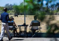 Botswana little machaba safari