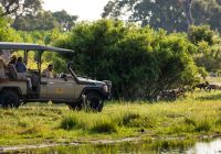 Botswana little machaba wildlife