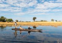 Activities kiri camp machaba safari