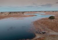 Activities kiri camp safari