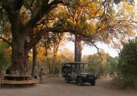 Activities kiri camp