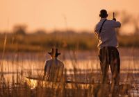 atividade belmond eagle island lodge