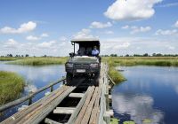 Botswana great plains duba plains camp safari carro