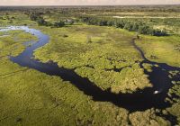 Botswana great plains duba plains camp vista aerea