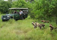 Botswana great plains selinda camp safari
