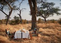 brunch belmond savute elephant lodge