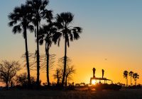 Camp kalahari golden hour