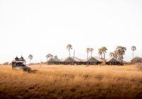 Camp kalahari safari