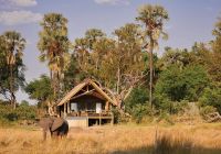 elefante belmond eagle island lodge