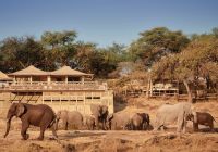 elefantes belmond savute elephant lodge