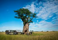 Kiri camp activities