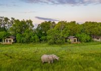 Little sable guest tent elefante
