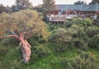 Machaba botswana ngoma camp gallery 21 safari