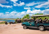 Machaba safaris web ngoma lodge activities safari game drive safari