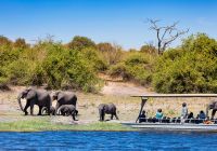 Machaba safaris web ngoma lodge boat cruise wild life safari