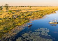 Machaba web monachira camp experience docking botswana