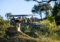 Machaba web monachira camp experience safari botswana