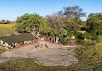 Machaba web monachira camp overview botswana