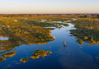 Mbamba camp okavango delta safari