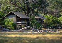 Mokolwane camp exterior tendas