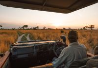 Mokolwane camp game drive