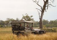 Mokolwane camp hospedes safari