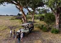 Mokolwane camp safari drinks stop