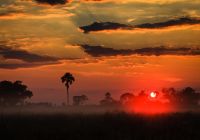 Nascer do sol Delta do Okavango Botswana