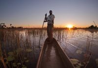 Safari agua belmond eagle island lodge