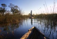 Safári Botswana Delta do Okavango