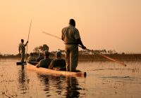 Safari delta do okavango