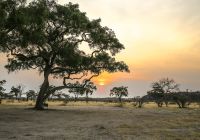 Pôr do sol em Botswana