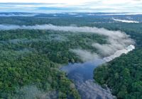 Amazon ecopark e