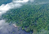 Amazon ecopark f