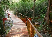 Amazon ecopark k