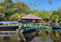 Amazon ecopark n