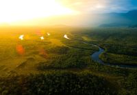 Amazonia vista aerea floresta